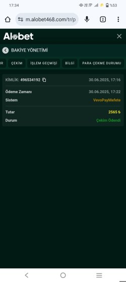 Screenshot_20250630_173440.jpg