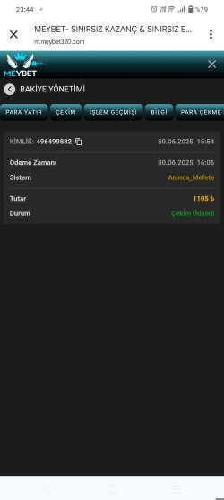 Screenshot_20250630_234430.jpg