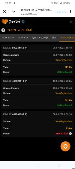 Screenshot_20250706_203657.jpg