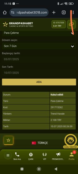 Screenshot_2025-07-10-11-15-23-836_com.android.chrome-edit.jpg
