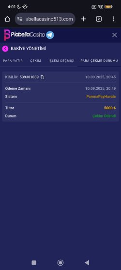 Screenshot_2025-09-11-04-01-01-835_com.android.chrome.jpg