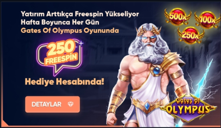1703167103382.png 1703167103382.png