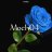 Moch04